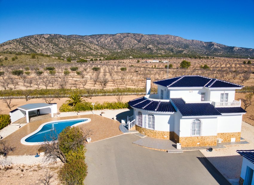 Reventa - Country House - Pinoso