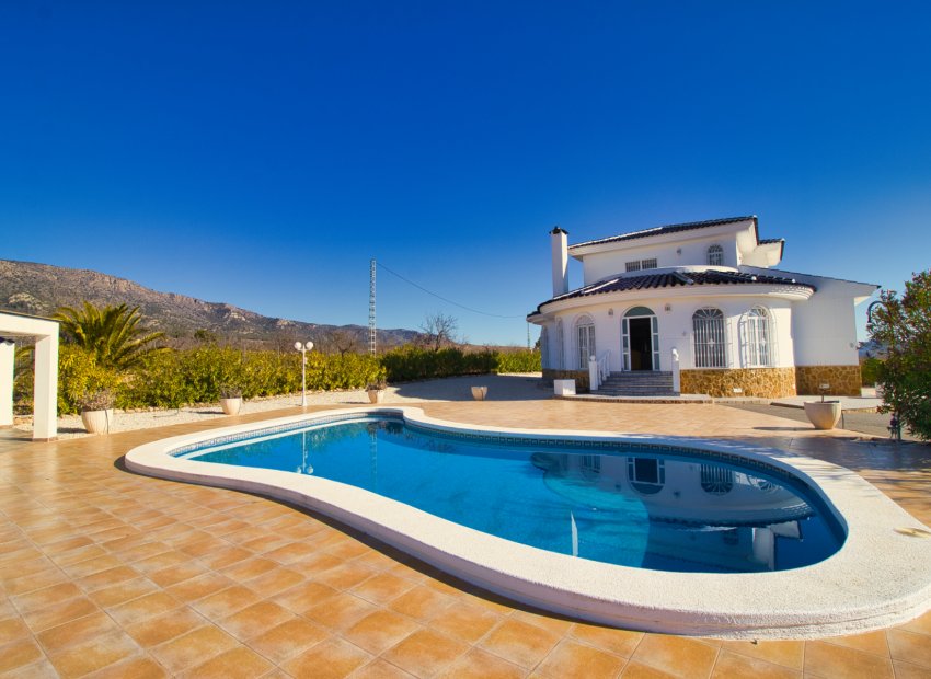 Reventa - Country House - Pinoso