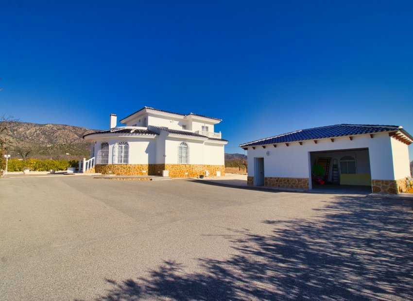 Reventa - Country House - Pinoso