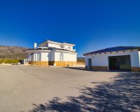 Reventa - Country House - Pinoso