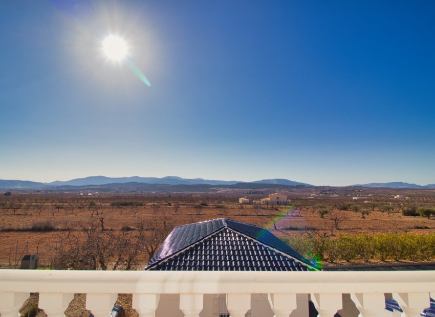 Reventa - Country House - Pinoso