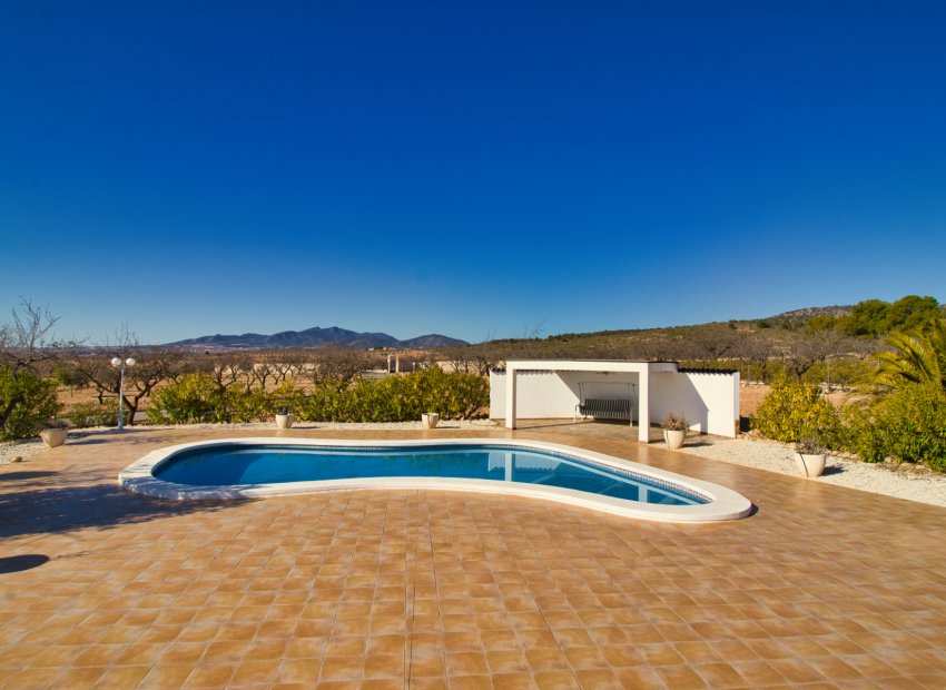 Reventa - Country House - Pinoso