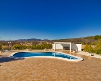 Reventa - Country House - Pinoso