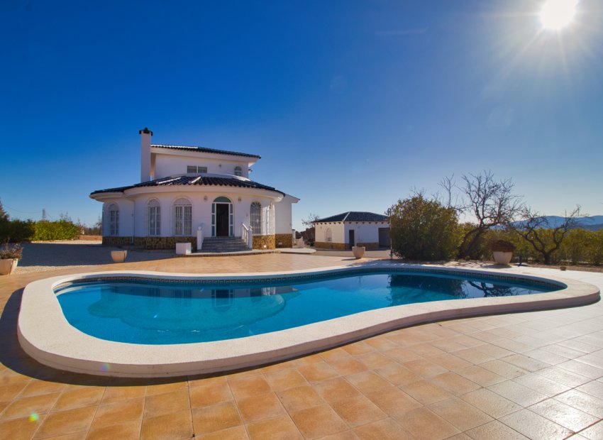 Reventa - Country House - Pinoso