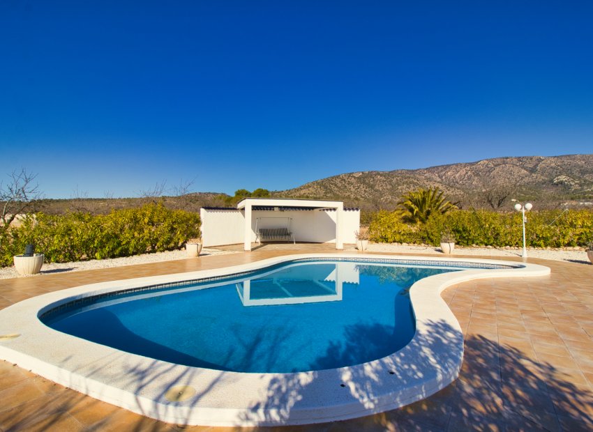 Reventa - Country House - Pinoso