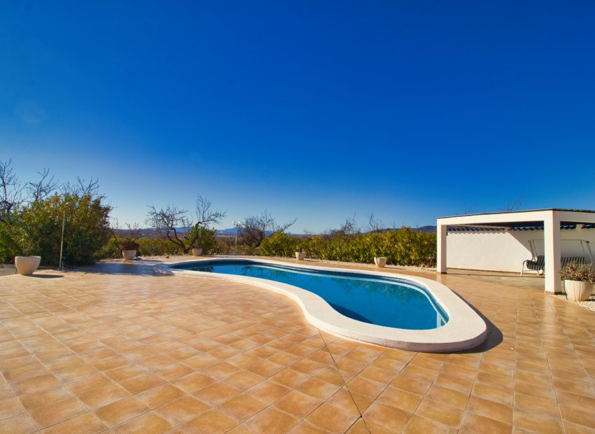 Reventa - Country House - Pinoso