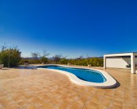 Reventa - Country House - Pinoso