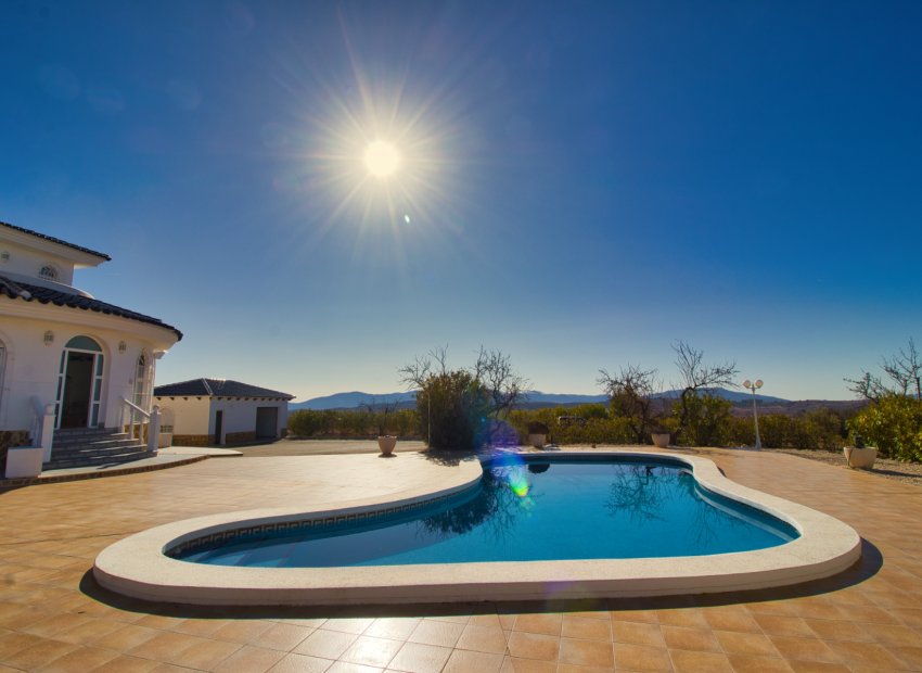 Reventa - Country House - Pinoso