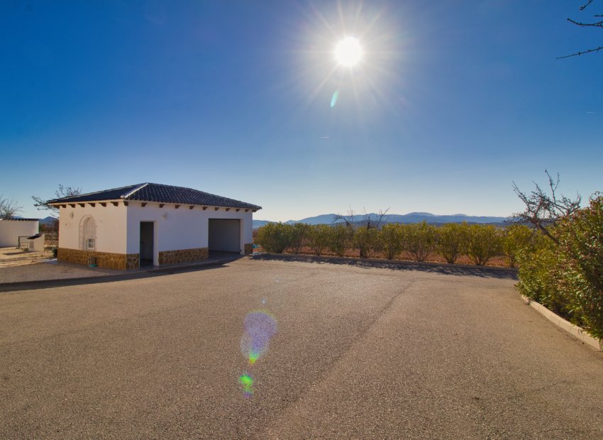 Reventa - Country House - Pinoso