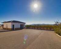 Reventa - Country House - Pinoso