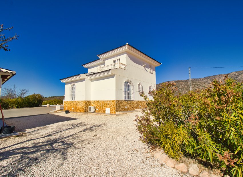 Reventa - Country House - Pinoso