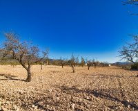 Reventa - Country House - Pinoso