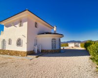 Reventa - Country House - Pinoso