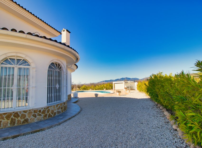 Reventa - Country House - Pinoso