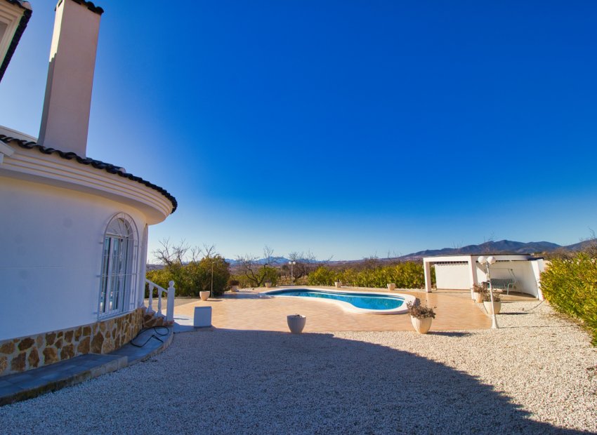 Reventa - Country House - Pinoso