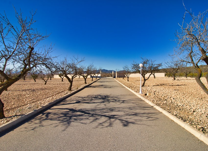 Reventa - Country House - Pinoso