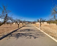 Reventa - Country House - Pinoso