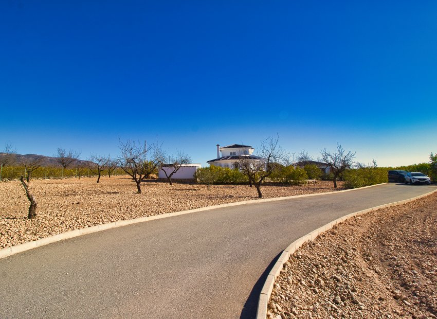 Reventa - Country House - Pinoso