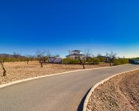 Reventa - Country House - Pinoso