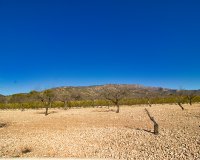 Reventa - Country House - Pinoso