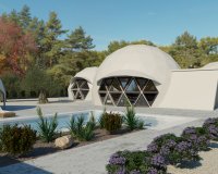 Reventa - Country House - Pinoso