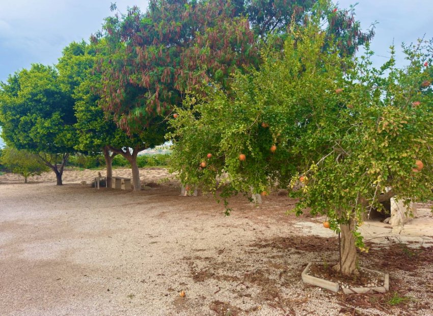 Reventa - Country House - Rojales - Ciudad Quesada