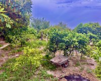 Reventa - Country House - Rojales - Ciudad Quesada