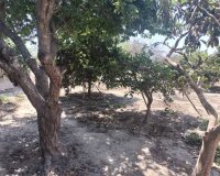 Reventa - Country House - Rojales - Ciudad Quesada