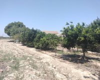 Reventa - Country House - Rojales - Ciudad Quesada