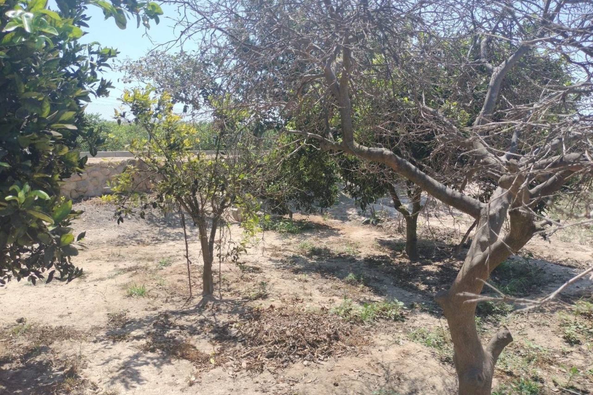 Reventa - Country House - Rojales - Ciudad Quesada