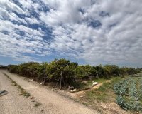 Reventa - Country House - Rojales - Ciudad Quesada