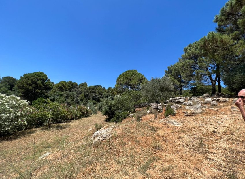 Reventa - Country House - Ronda