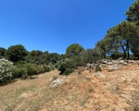 Reventa - Country House - Ronda