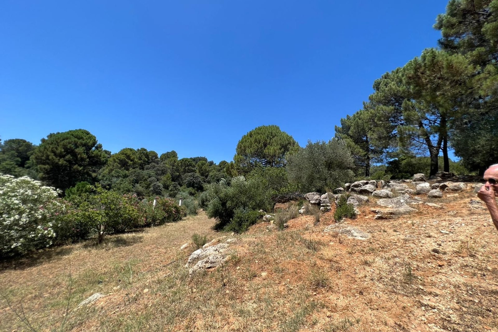 Reventa - Country House - Ronda