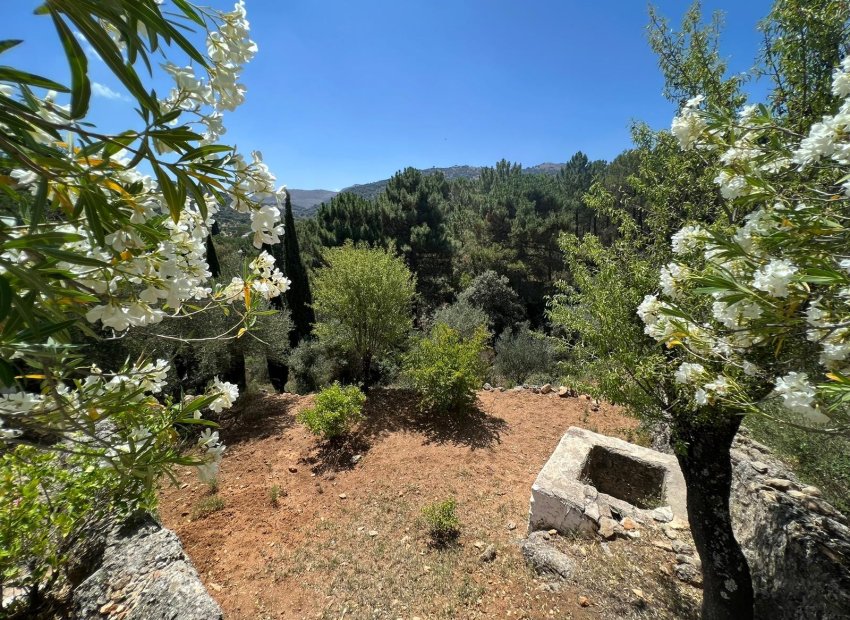 Reventa - Country House - Ronda