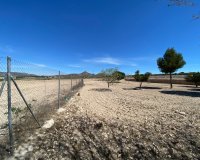 Reventa - Country House - Salinas