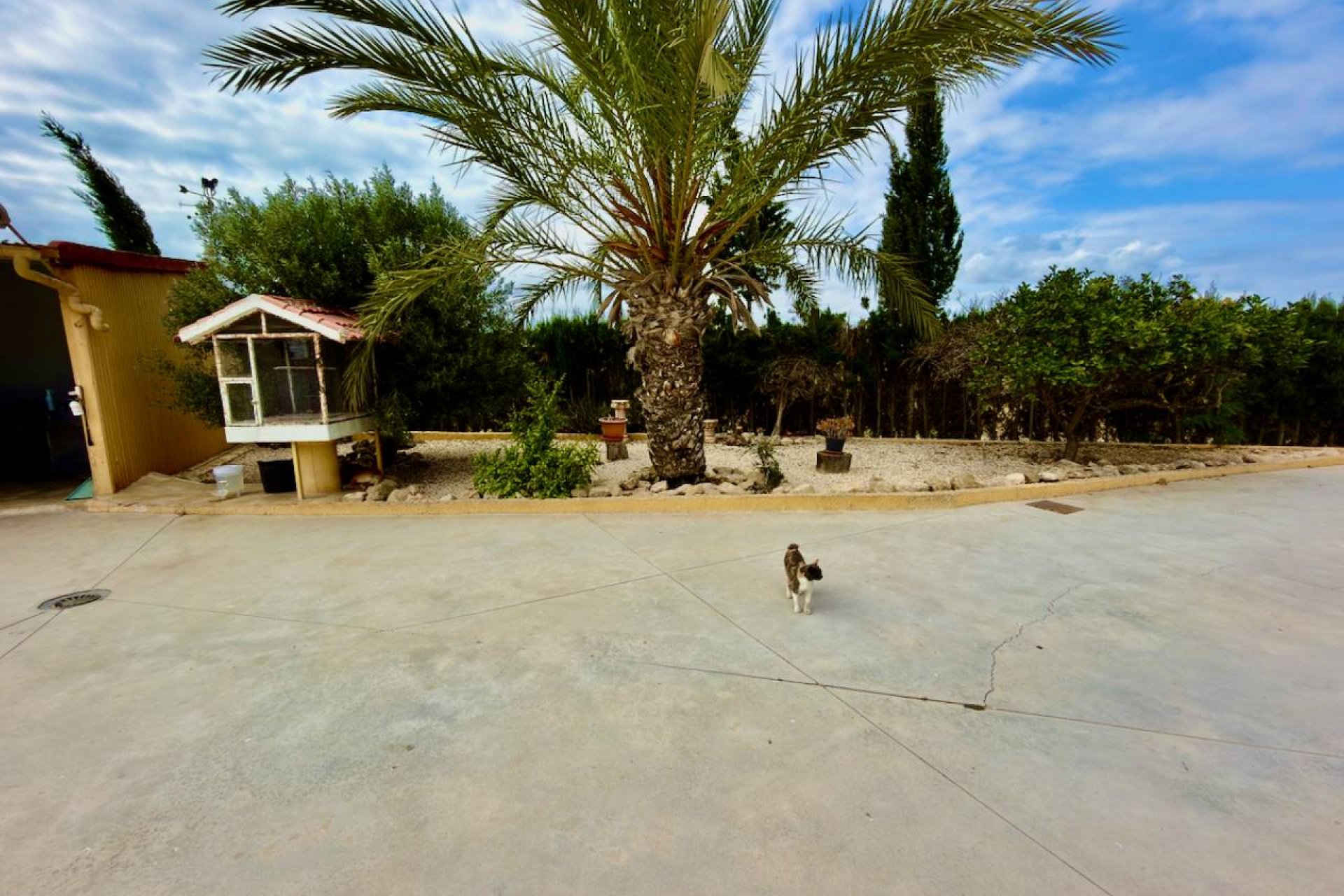 Reventa - Country House - San Fulgencio - La Marina