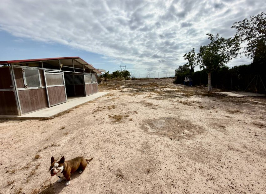 Reventa - Country House - San Fulgencio - La Marina