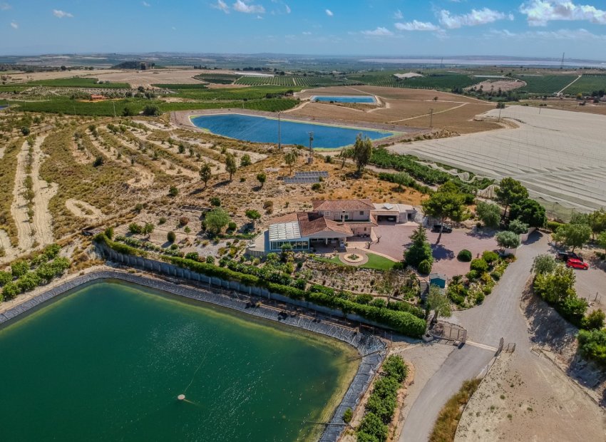 Reventa - Country House - San Miguel de Salinas - Torremendo