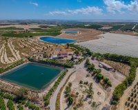 Reventa - Country House - San Miguel de Salinas - Torremendo