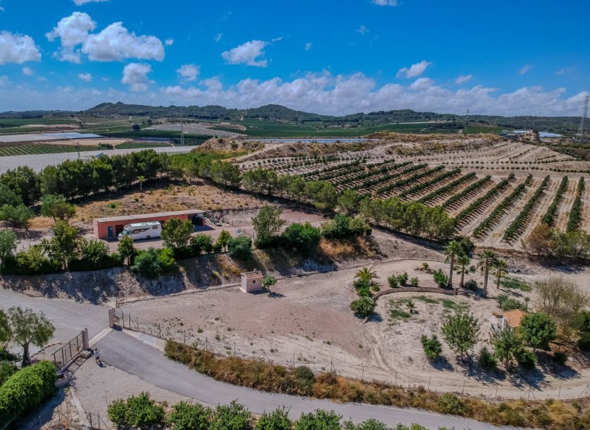 Reventa - Country House - San Miguel de Salinas - Torremendo