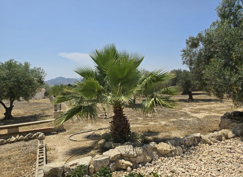 Reventa - Country House - Sax