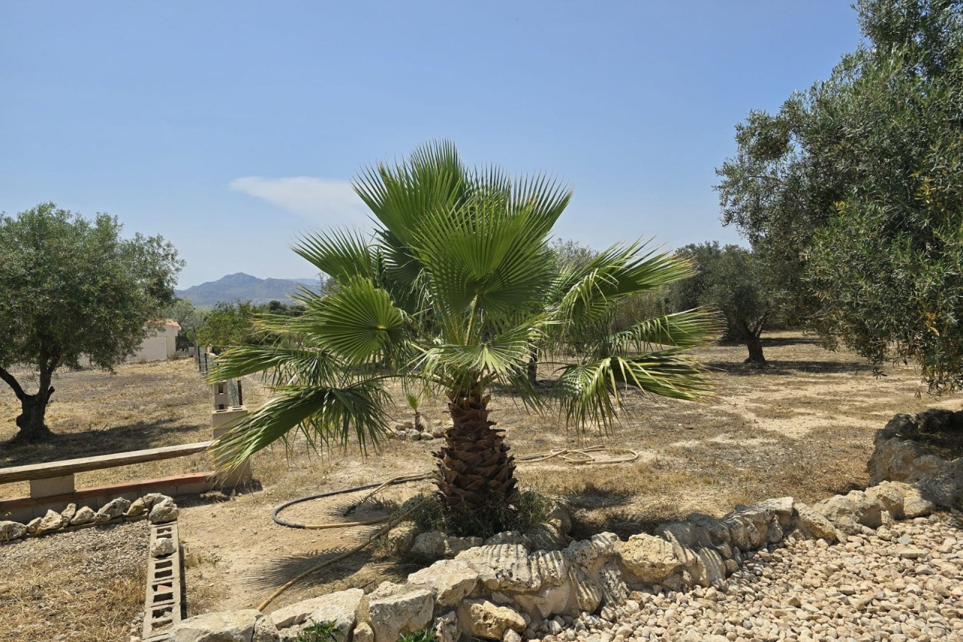 Reventa - Country House - Sax