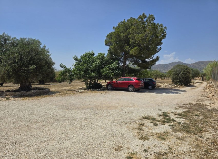 Reventa - Country House - Sax