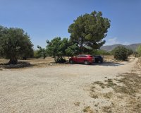 Reventa - Country House - Sax