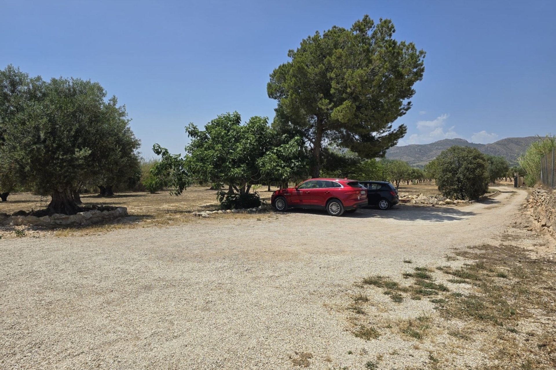 Reventa - Country House - Sax