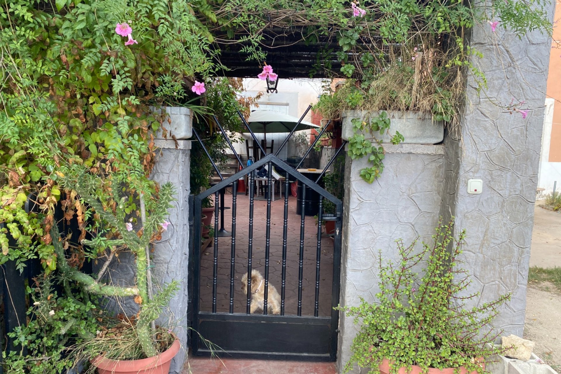 Reventa - Country House - Sax