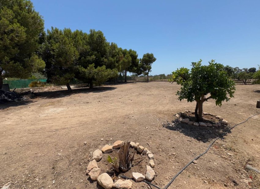 Reventa - Country House - Torrellano