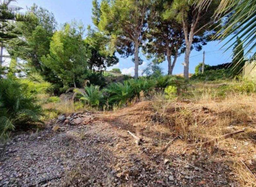 Reventa - Parcela / Terreno - Alfas del Pí - Colonia Escandinavia-Cautivador