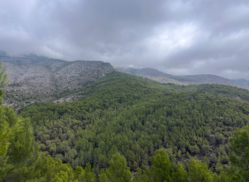 Reventa - Parcela / Terreno - Altea - Sierra de Altea